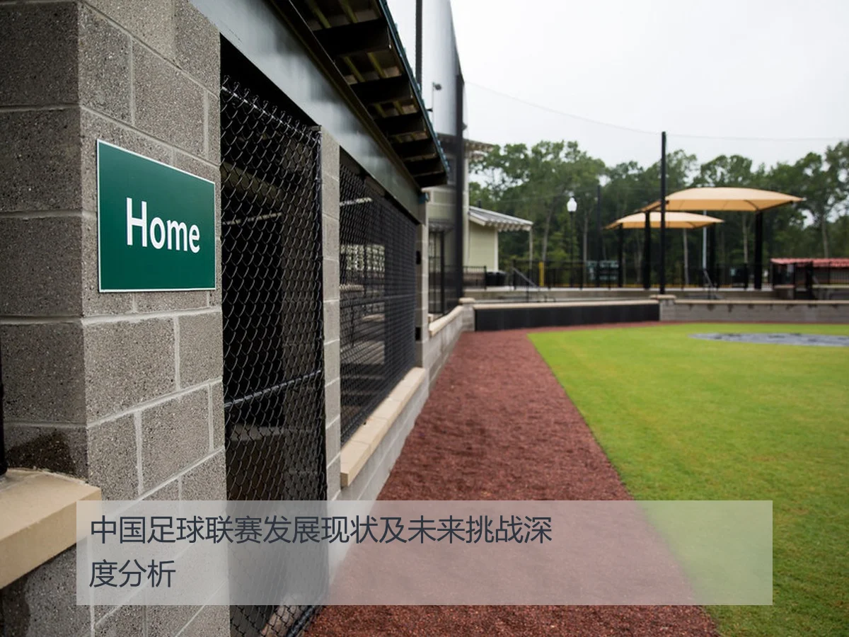 中国足球联赛发展现状及未来挑战深度分析